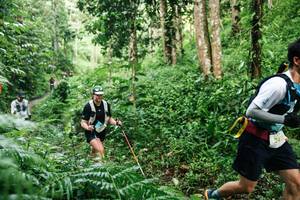 BIB: 
                            <button type="button" onclick="openModal(26393788)" class="btn btn-primary btn-sm float-right btn-popup" data-toggle="modal" data-target=".modal-high-quality">
                        <i class="fas fa-shopping-cart"></i> Add to Cart
                    </button>
                                            <button type="button" onclick="isThisMe(26393788, true)" class="btn btn-success btn-sm float-right btn-popup btn-isme hidden" data-toggle="tooltip" data-placement="bottom" title="นี่คือรูปของคุณใช่ไหม คลิกที่นี่เพื่อเอาเข้าอัลบั้ม">
                        <i class="fas fa-plus"></i> Add to album
                    </button>
                    <button type="button" onclick="isThisMe(26393788, false)" class="btn btn-warning btn-sm float-right btn-popup btn-isnotme hidden">
                        <i class="fas fa-ban"></i> Remove from album
                    </button>